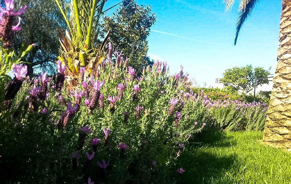 Agriturismo Masseria Calongo Cisternino Esterno foto