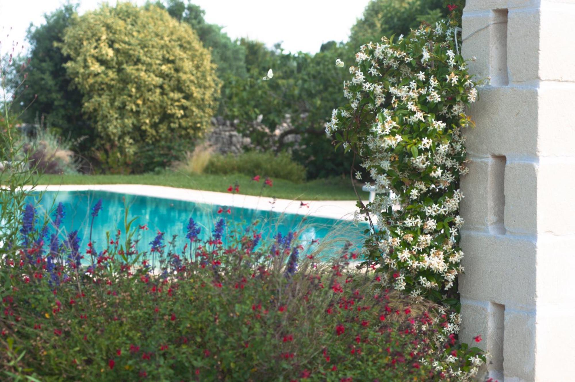 Agriturismo Masseria Calongo Cisternino Esterno foto