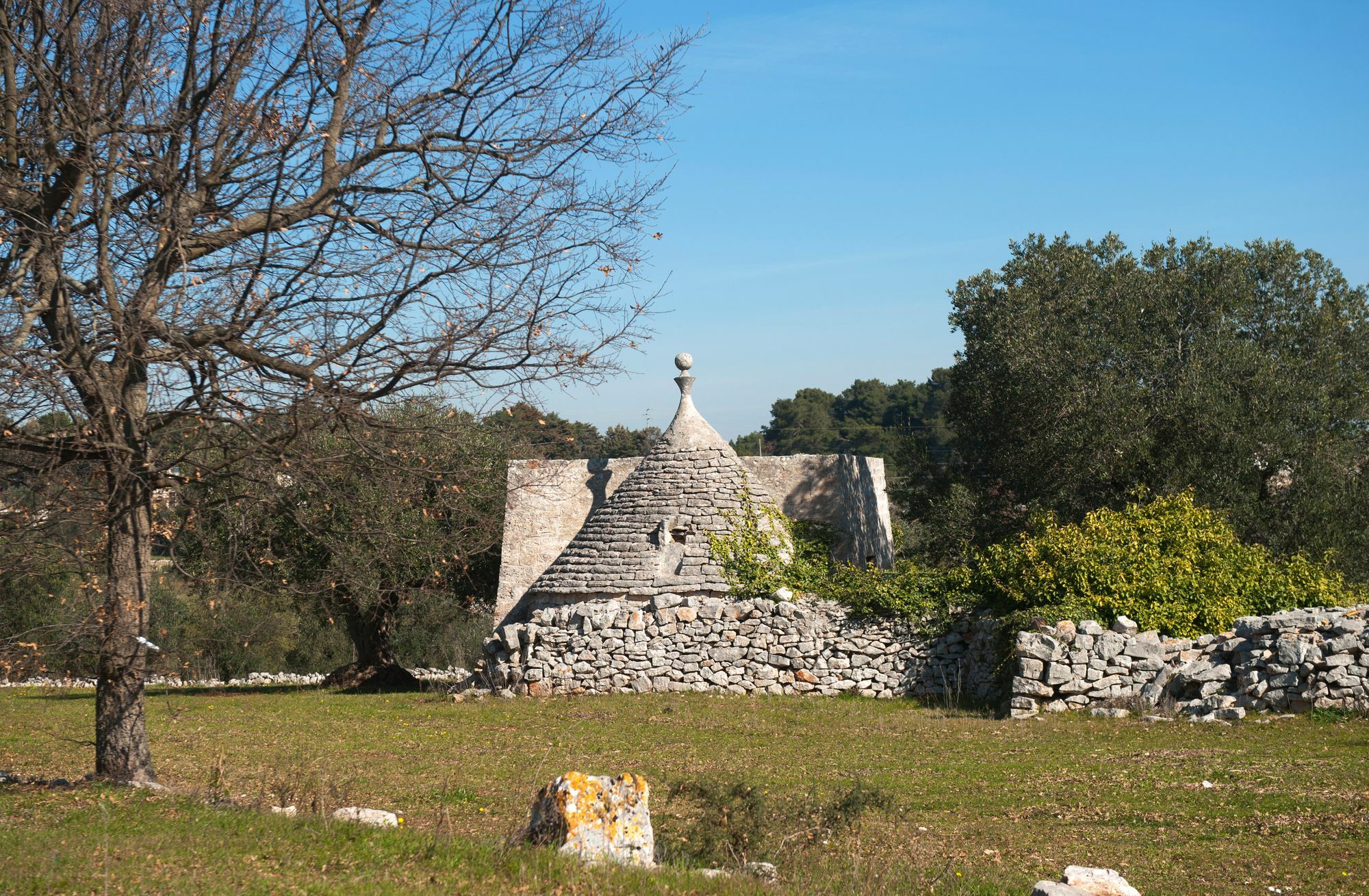 Agriturismo Masseria Calongo Cisternino Esterno foto